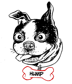 hump wear logo